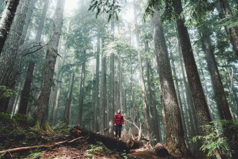 Expert Insights on Navigating HMRC Regulations for Homeowners